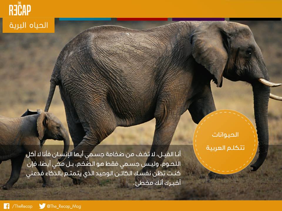 الحيوانات تتكلم العربية