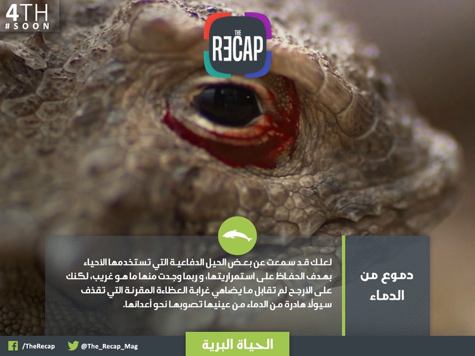 دموع من الدماء