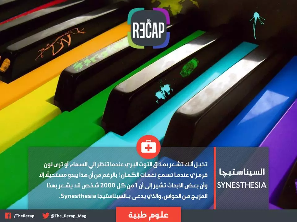 السيناستيجا