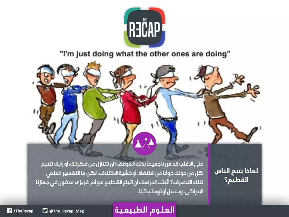 اتباع القطيع